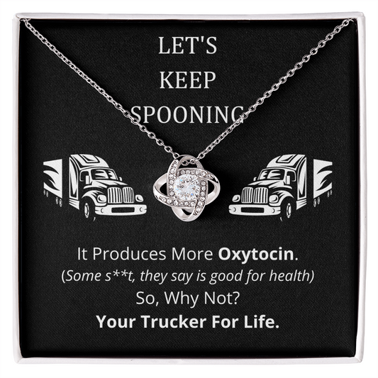 anniversary gift to girlfriend, girlfriend necklace, necklaces, truck driver gift, gift for truck driver girlfriend or wife, funny gift for girlfriend Jewelry - dilibeads